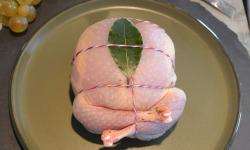 Terre de Gallie - Perdreaux farcis aux girolles