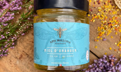 Apis Mellona - Miel D'oranger 250g