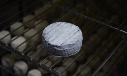 Alléosse Maitre Artisan Affineur Fromager - Sauvaget de Parthenay au lait cru