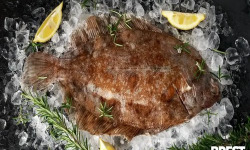 Brest Marée - Limande Sole - pièce de 350g