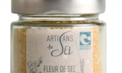 Artisans du Sel - Fleur de Sel de Guérande au Gingembre – Verrine 85g | Artisans du Sel