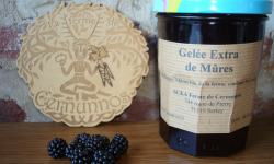 Ferme de Cernunnos - Gelée Extra de mûres sauvages bio