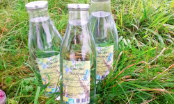 Les Vergers de la Vautée - Eau de Bouleau 3x100cl