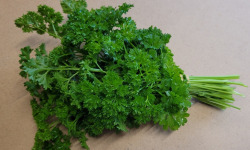 Le Pré de la Rivière - Bouquet de Persil frisé