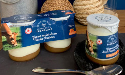 Ferme de La Tremblaye - 2 yaourts abricots