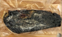 Ferme des Fabres, Vos Manges Gardiens - Magret séché non tranché 1kg