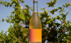 OMAFRIDA - Pétillant sans alcool : La Cuvée N°003