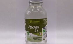 Ferme de Vanadal - Dizane Energy – Concentré bio tonifiant, boost naturel sans sucre