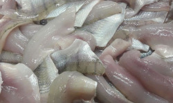 Du Léman à l'Océan - Filets de perche souche Léman x 500gr
