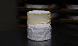 Alléosse Maitre Artisan Affineur Fromager - Chaource Fermier AOP au lait cru (1/2)