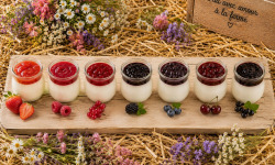Gaec de l'Elanion - Lot de 16 yaourts mélangé spécial fruit rouge