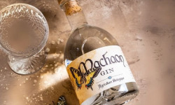 Alcools Vivant - Gin MACHAON Bio 70cl