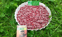 LES JARDINS DE KARINE - Groseilles rouges surgelées - 1kg