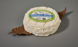 Laiterie de Pamplie - Mothais sur feuille