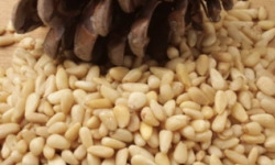 L’Oliveraie du Coudon - Pignons de pin   200gr