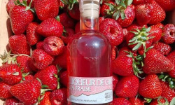 Distillerie du Bugey - Liqueur de gin à la fraise 20cl
