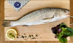 La Criée d'à Côté - Maigre | pièce de 650g à 750g
