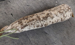 Ferme Joos - Saucisson sec de boeuf : Ferme Delmotte