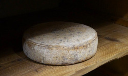 Alléosse Maitre Artisan Affineur Fromager - Pyrène de brebis fermière