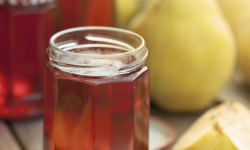 L'OLIVERAIE DU COUDON - Gelée Extra de Coing – 370 g