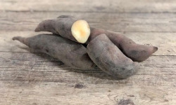 Langevine - Poire de Terre BIO "Yacon" 2kg