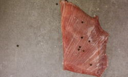 La ferme Elizaldia - Grillade de porc 250g