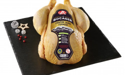 BEAUGRAIN, les viandes bien élevées - CHAPON JAUNE FERMIER LABEL ROUGE