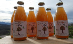 Terres EnVie - Jus De Pommes Bio « Récolte Tardive » Variétés Anciennes 6 bouteilles d'un litre