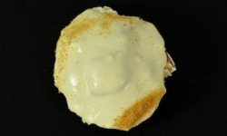 Poissonnerie Robert - Coquille Saint-Jacques