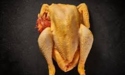 EARL Plumes et Laines - Chapon jaune fermier spécial THANKSGIVING