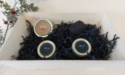 ALENA la Truffe d'Aquitaine - Coffret truffe noire fraîche du Périgord et suprêmes de truffe