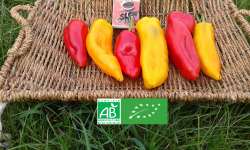 LES JARDINS DE KARINE - Poivrons oranges et rouges - 500g