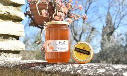 La Truite du Mézenc - Miel de Tilleul - 1kg