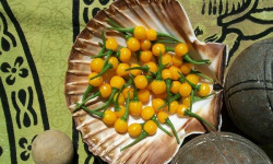 HERBA HUMANA - Piment frais Aji Charapita 20g