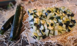 Les Jardins de Gérard - Courgette sous-vide (cube) - 250 g