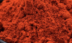 L'OLIVERAIE DU COUDON - PAPRIKA FUMÉ – POT 85 G