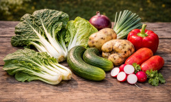 Nature et Saveurs - Ferme Aquaponique et Permacole Astérienne - Panier anti gaspi légumes