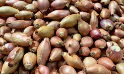 Nature et Saveurs - Ferme Aquaponique et Permacole Astérienne - Échalote - 500g