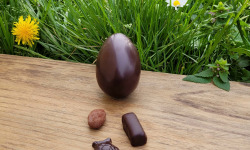 Basile et Téa - Œuf en chocolat Noir 66% de Pâques 50g