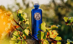 Maison Mounicq - Gin Avem Hippolais