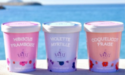 Valis Fleurbet - Lot 3 Sorbets fruits rouges 3x480ml