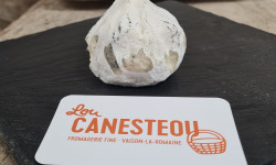 Lou Canesteou - Figue cendrée