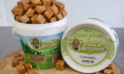 La Ferme de Labergement - Crème glacée 500 ml Caramel - lot de 10 pots