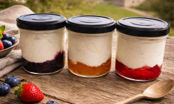 Ferme de l'Elanion - Fromage Blanc Confiture Ananas 130g