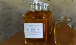 La Cabane à plantes - Sirop de Romarin 20cl