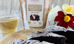 Les Graines de Louise - Préparation moelleux chocolat Louise 150 gr (lot de 12)