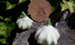 Ferme de Cernunnos - Jeunes Pâtissons (500g)