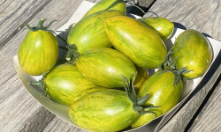 Ferme Sinsac - Tomates green zebra type olivettes