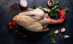 LA FERME DE COLLONGE - CHAPON FERMIER PRET A CUIRE