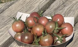 Ferme Sinsac - tomate black cherry (barquette de 250grs)